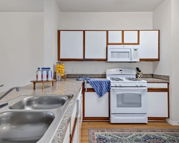Photo Gallery Image