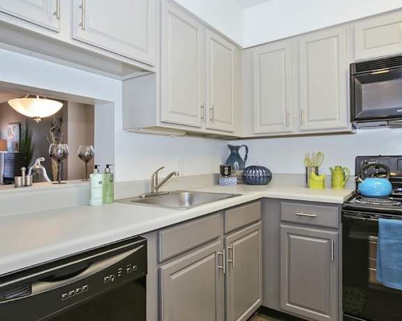 Photo Gallery Image
