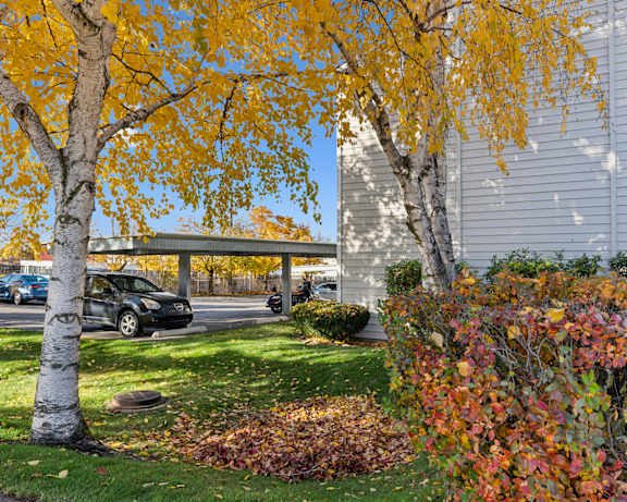 Photo Gallery Image