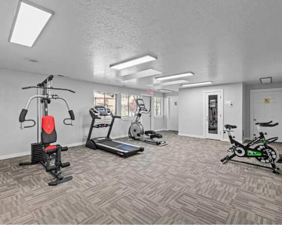 Photo Gallery Image