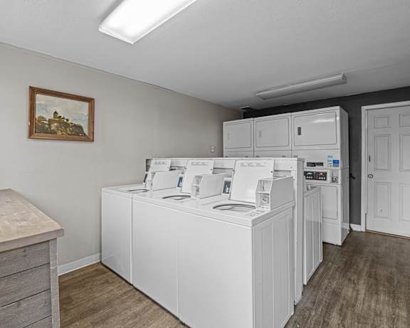 Photo Gallery Image