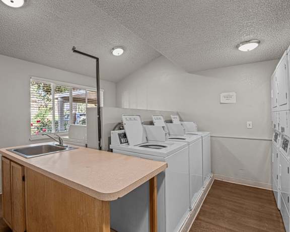 Photo Gallery Image
