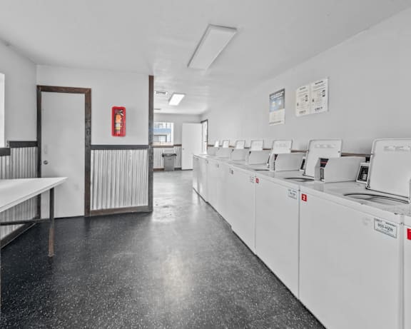 Photo Gallery Image