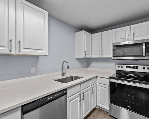Photo Gallery Image