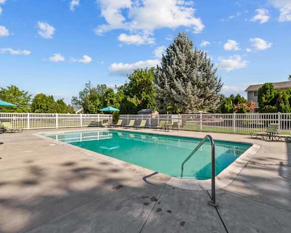 Photo Gallery Image