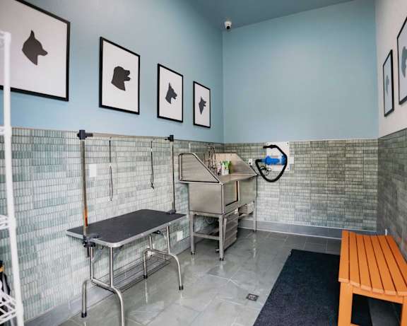Photo Gallery Image