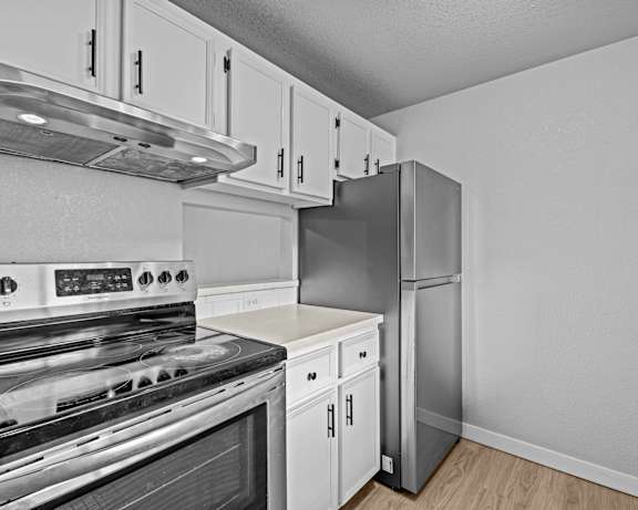 Photo Gallery Image