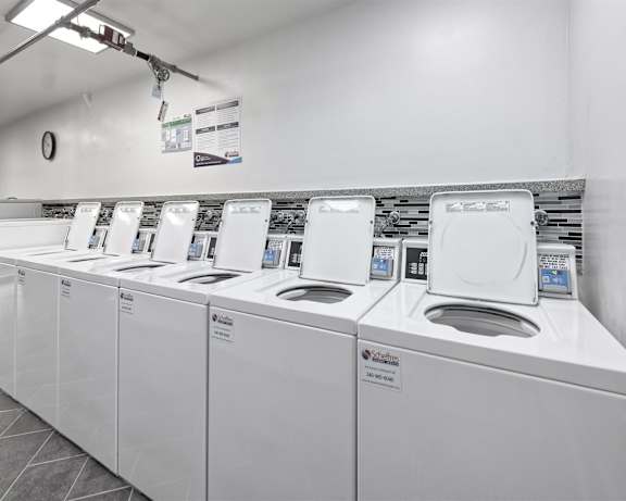Photo Gallery Image