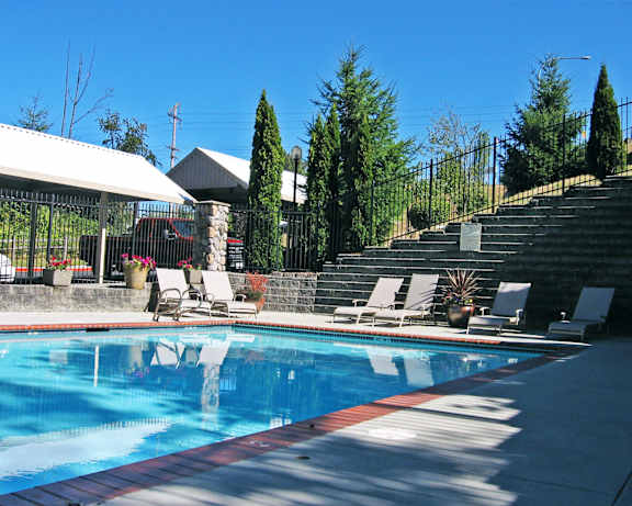 Photo Gallery Image