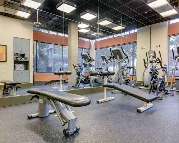 Photo Gallery Image
