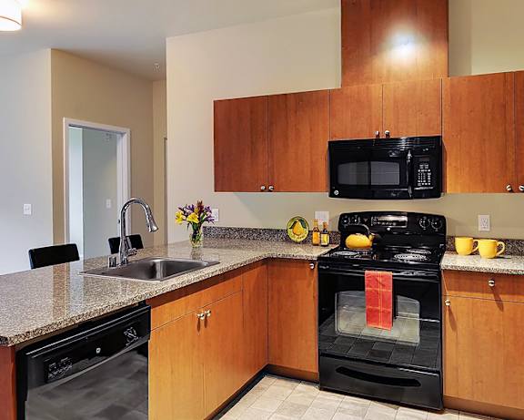 Photo Gallery Image
