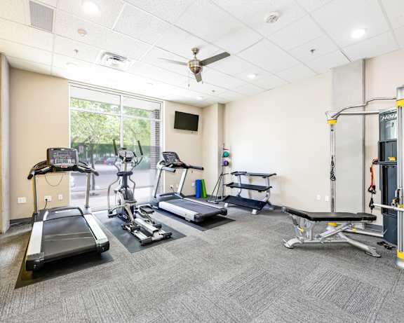 Photo Gallery Image
