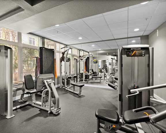 Photo Gallery Image