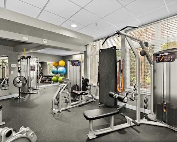 Photo Gallery Image