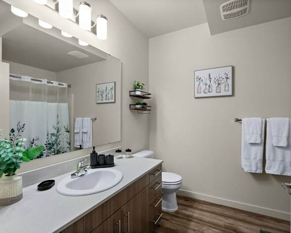 Photo Gallery Image