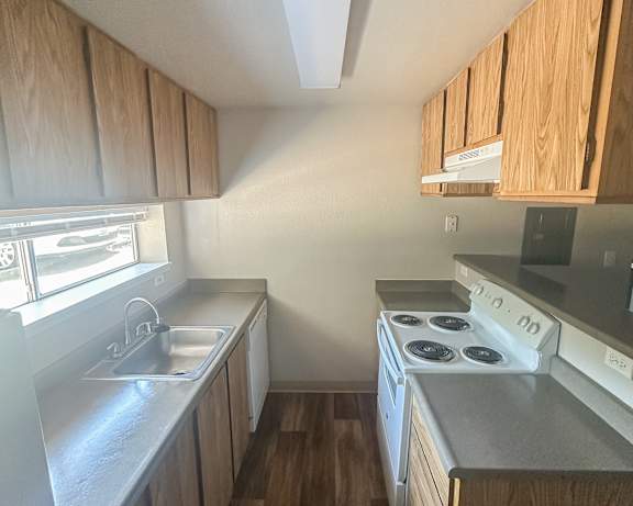 Photo Gallery Image