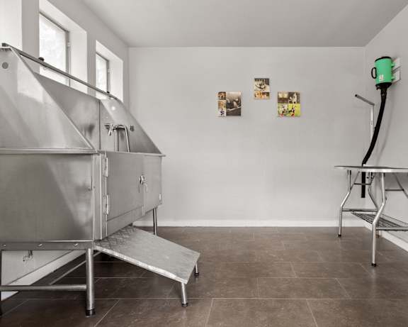 Photo Gallery Image