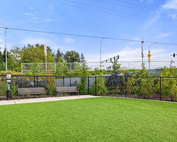 Photo Gallery Image