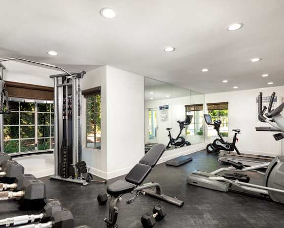 Photo Gallery Image