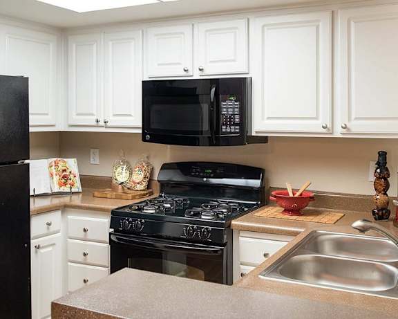 Photo Gallery Image
