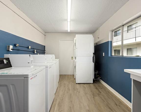 Photo Gallery Image