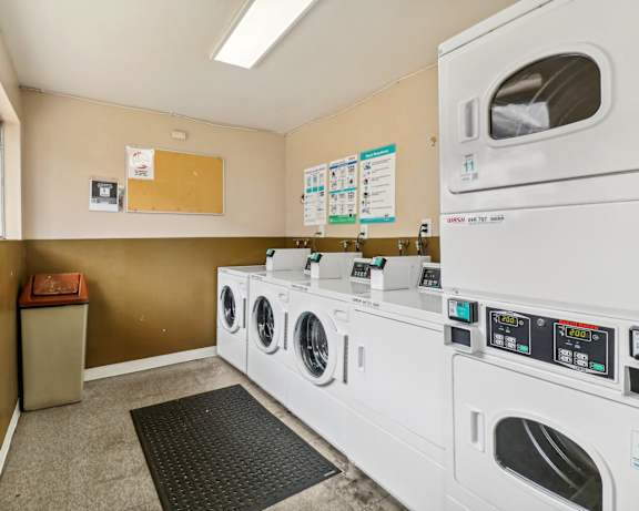 Photo Gallery Image