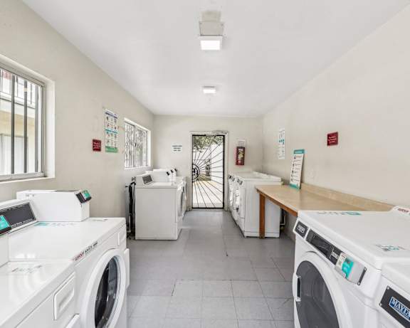 Photo Gallery Image