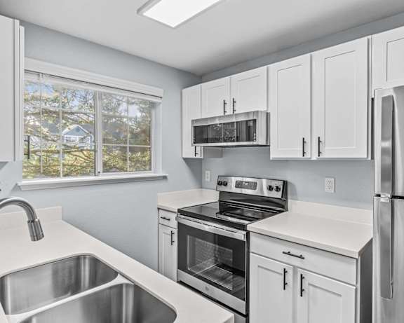 Photo Gallery Image