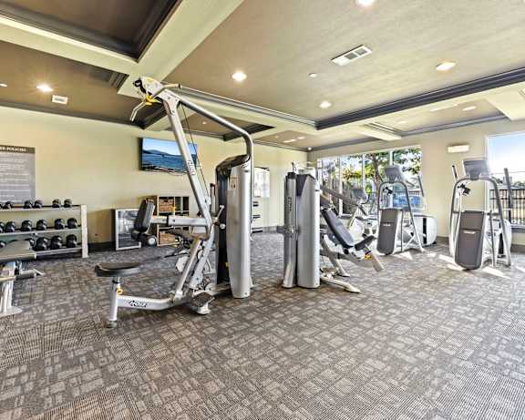 Photo Gallery Image
