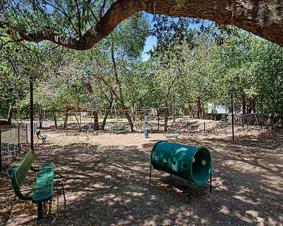 Photo Gallery Image