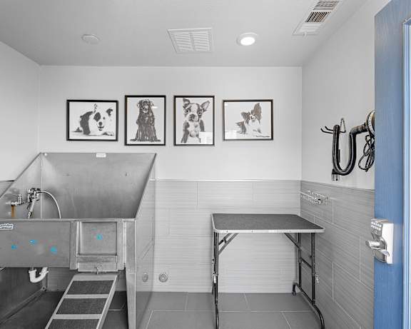 Photo Gallery Image