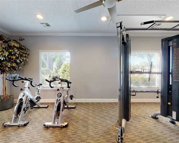 Photo Gallery Image