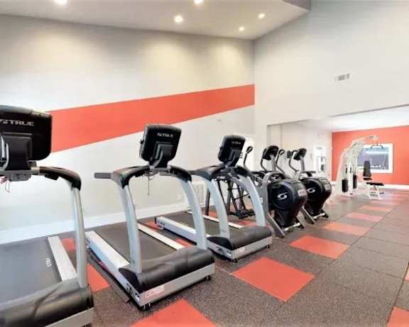 Photo Gallery Image