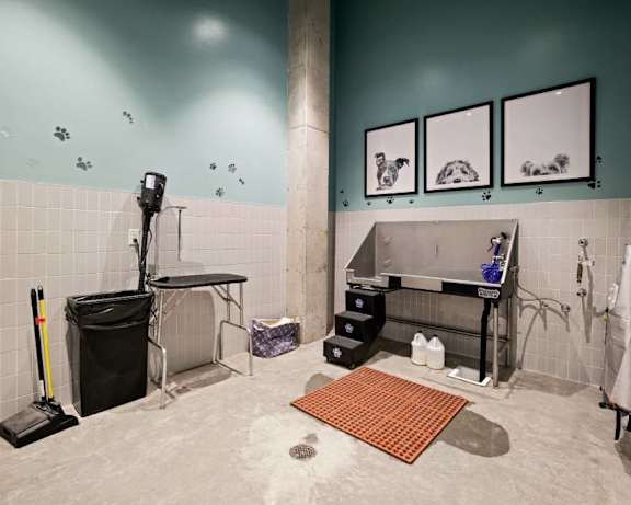 Photo Gallery Image