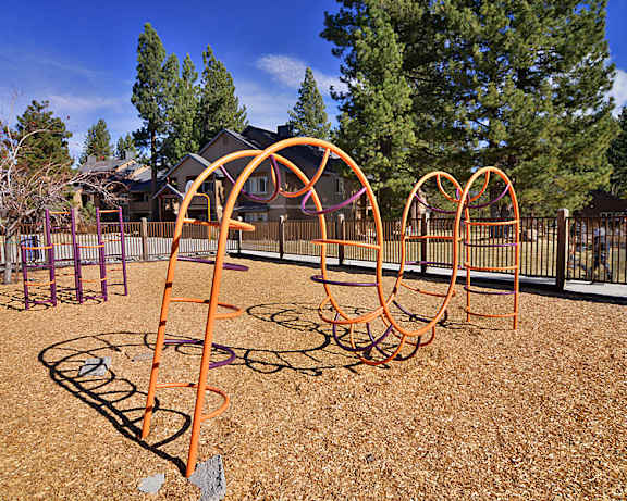 Photo Gallery Image