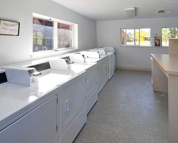 Photo Gallery Image