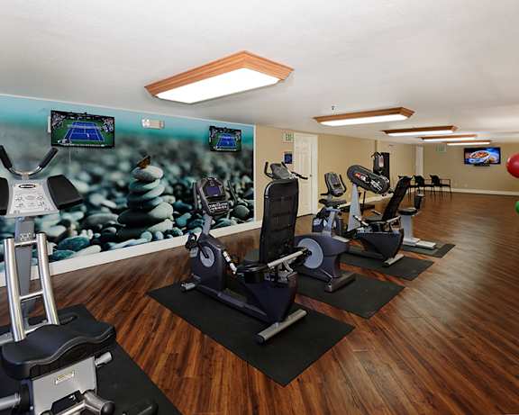 Photo Gallery Image