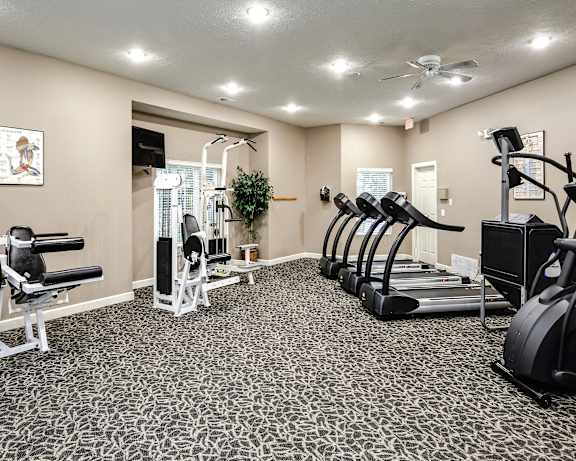 Photo Gallery Image