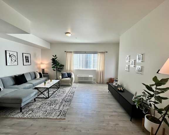 Photo Gallery Image