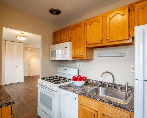Photo Gallery Image