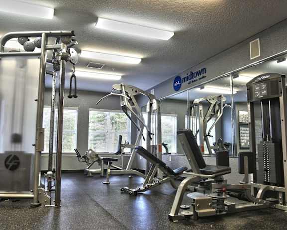 Photo Gallery Image