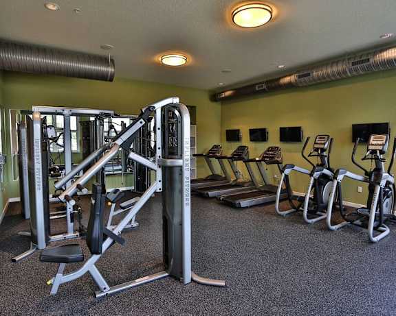Photo Gallery Image