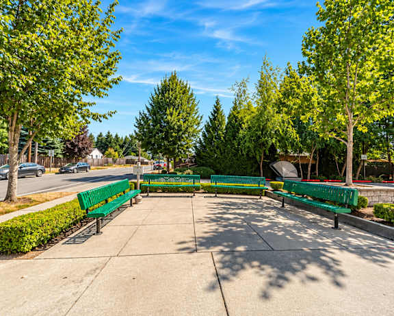 Photo Gallery Image