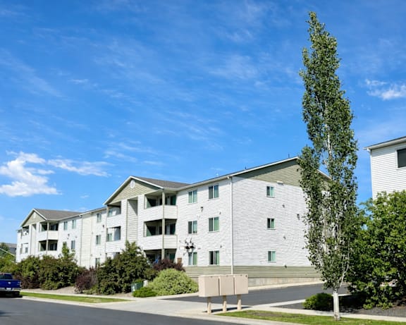 Photo Gallery Image