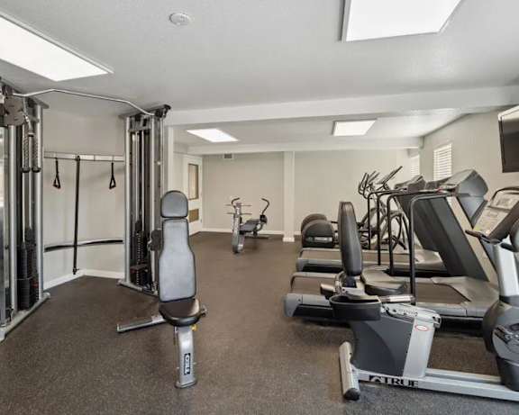 Photo Gallery Image