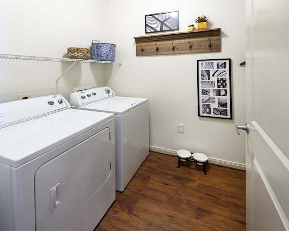 Photo Gallery Image
