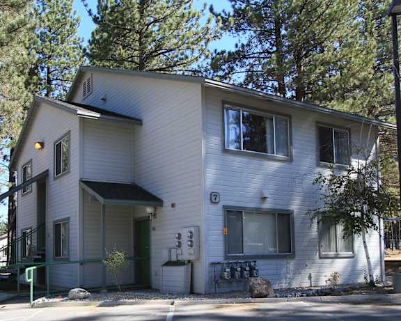 Photo Gallery Image