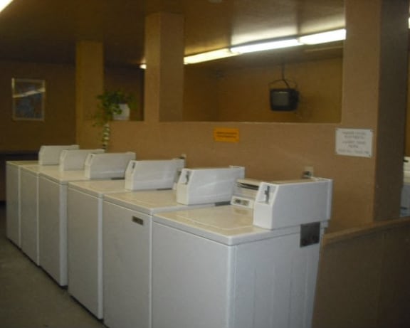 Photo Gallery Image