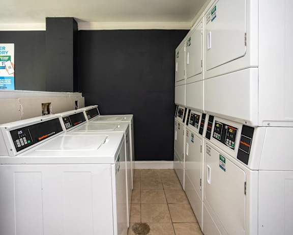 Photo Gallery Image