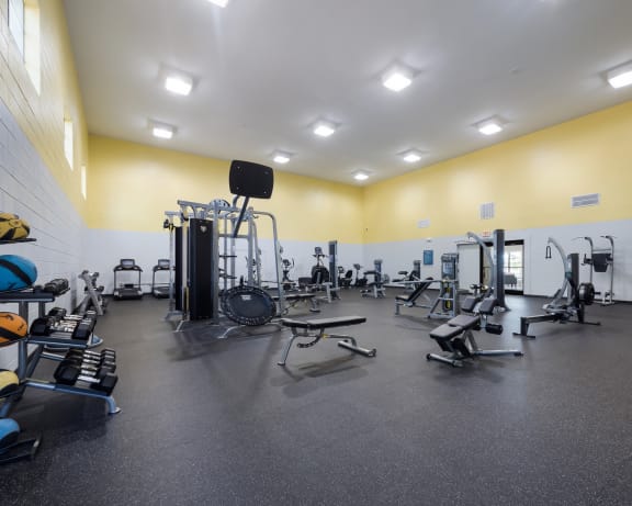 Photo Gallery Image
